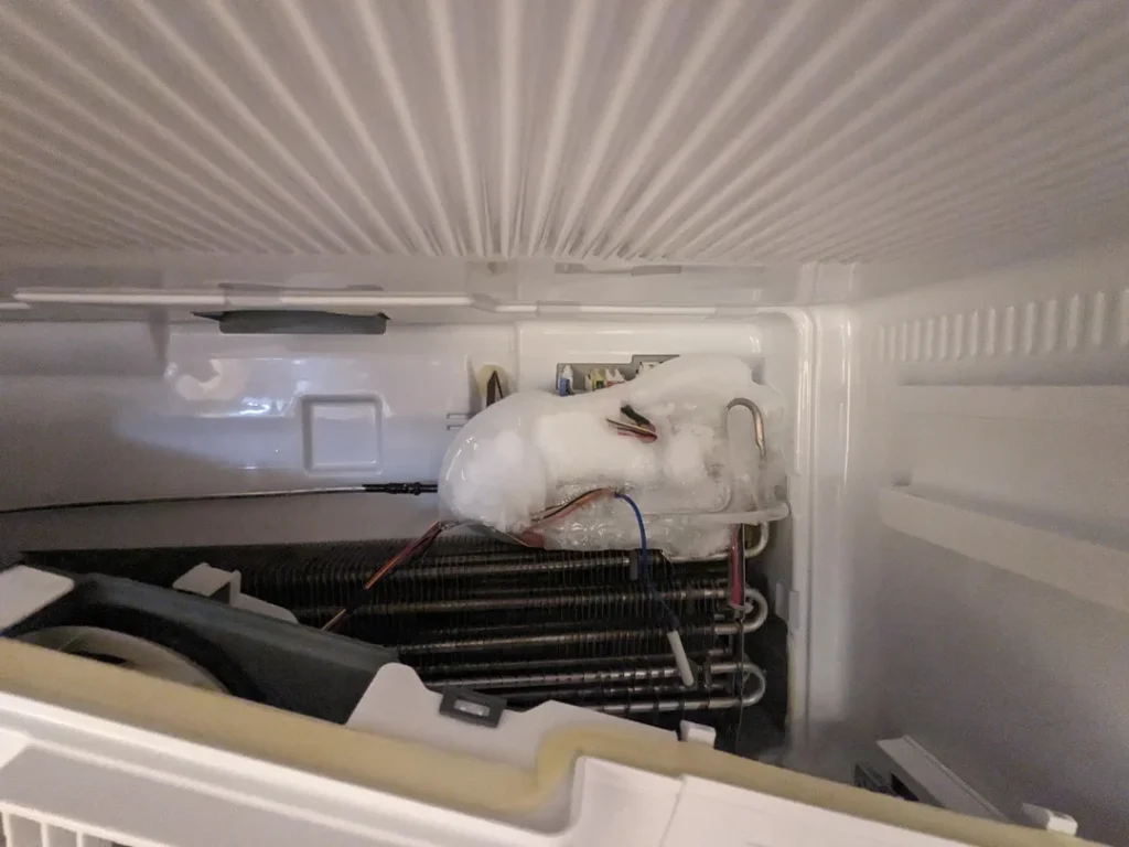 Check for Frost Buildup Behind the Back Panel